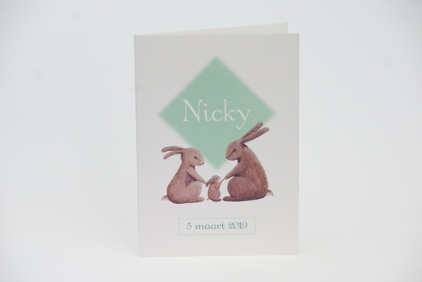 geboortekaartje nicky lichtgroen